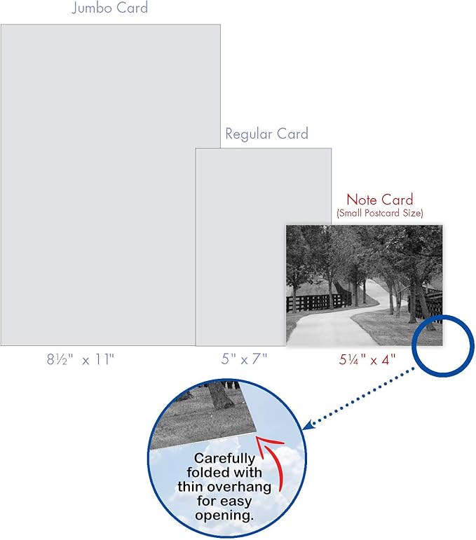 The Best Card Company - 20 All Occasion Blank Greeting Cards (4 x 5.12 Inch) - Monocolor Photos (10 Designs, 2 Each) - Tree Lines AM3313OCB-B2x10