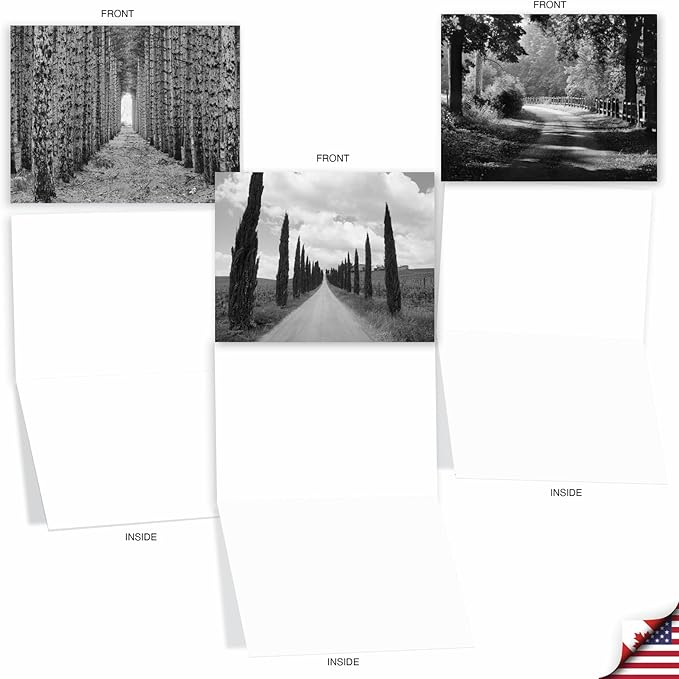 The Best Card Company - 20 All Occasion Blank Greeting Cards (4 x 5.12 Inch) - Monocolor Photos (10 Designs, 2 Each) - Tree Lines AM3313OCB-B2x10