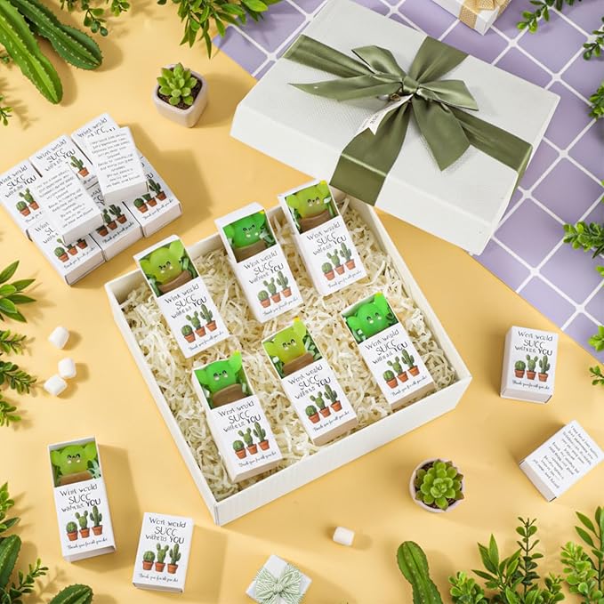 Wettarn 60 Sets Work Appreciation Gifts Cactus Stress Balls with Thank You Boxes Bulk Company Party Favors for Employee Coworker Staff Office Positive Relief Desk Decor, Luminous