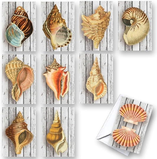 Wright Home & Gift Conch Seashells All-Occasion Blank Note Greeting Cards | 20 Pack Assortment Bulk Variety Set + 20 Envelopes (4x6)