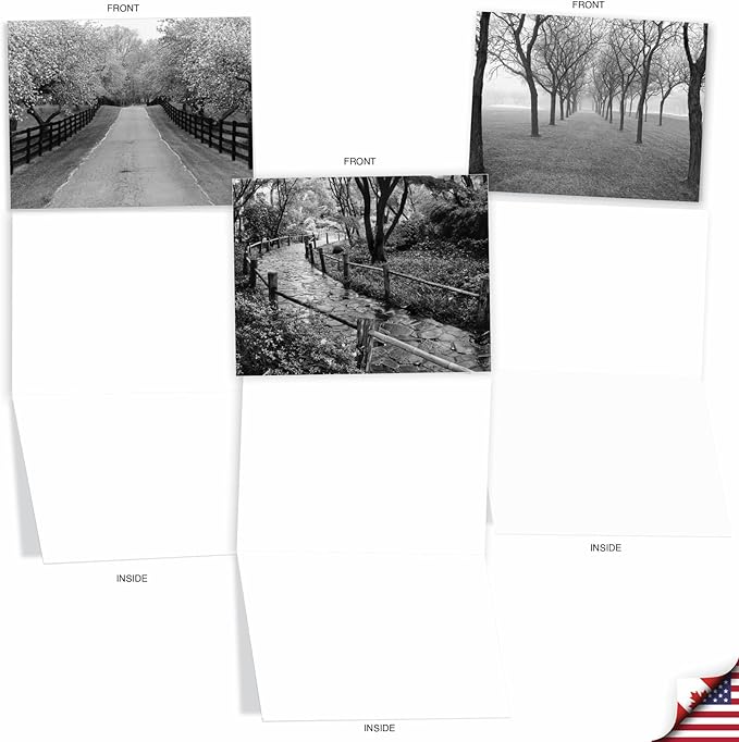 The Best Card Company - 20 All Occasion Blank Greeting Cards (4 x 5.12 Inch) - Monocolor Photos (10 Designs, 2 Each) - Tree Lines AM3313OCB-B2x10