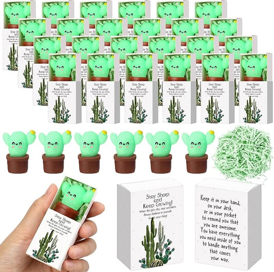 Wettarn 24 Sets Cactus Positive Gifts Cute Stress Balls with Believe in Yourself Gift Boxes Bulk Party Favors for Students Coworkers Employees School Office Relief Inspirational Desk Accessories