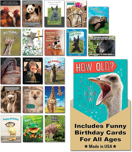 Leanin' Tree Wildly Funny - Made In USA - 20 Assorted Cards with Envelopes All Occasion, Birthday Cards Funny Enough to Make You Laugh, Includes Birthday, Encouragement, Friendship, Thank You and More